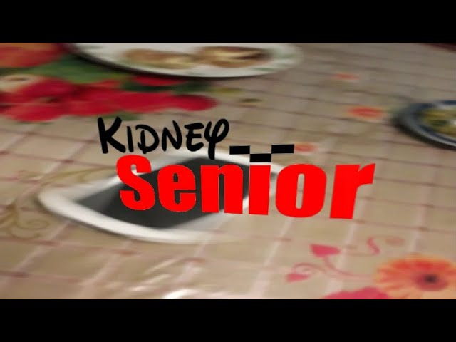 Kidney Senior FANMADE Bumper Promo Parody of Disney Junior & co. Continuities