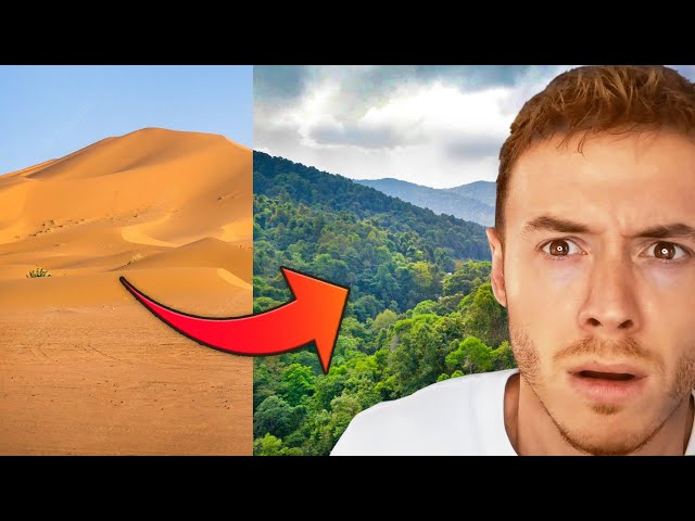 How China Turned the Desert Green... (this is shocking)