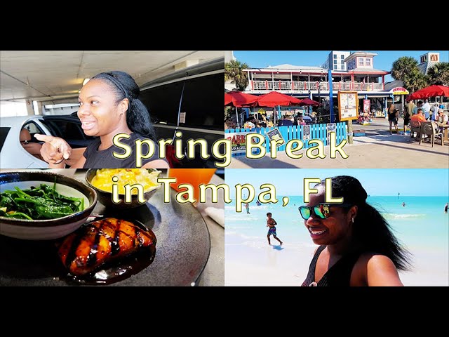 First Family Spring Break to Tampa, FL | Clearwater Beach & Tampa Zoo