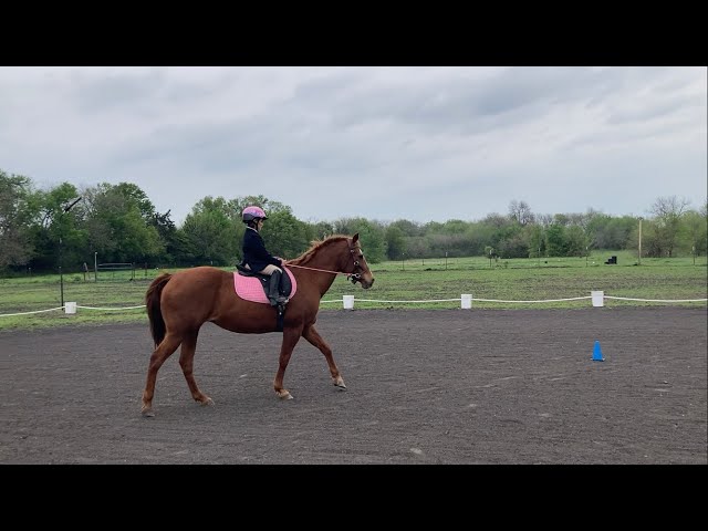 Layla #632 and She’s A Dandy. GnG March Show-Beginner Youth Hunter Equitation