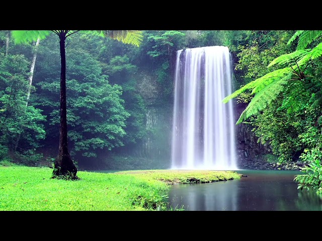 Relaxing Piano Music for Stress Relief  #relaxingmusic #pianomusic #peacefulmusic