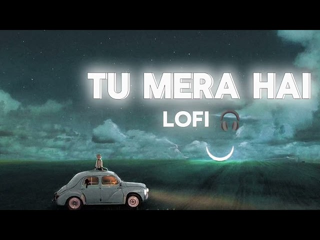 Tu Mera Hai | Lofi Love Song | New Hindi Song - Prince Lofi Edits