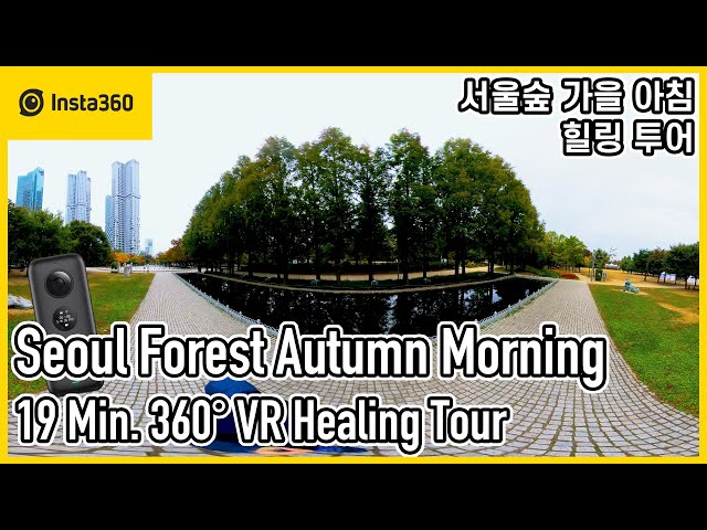 Seoul Forest Healing Autumn 19 Min. 360° VR Tour | 5.7K | Ep.341 | Insta360 One X