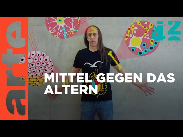 Werden wir ewig leben? | 42 - Die Antwort auf fast alles | ARTE