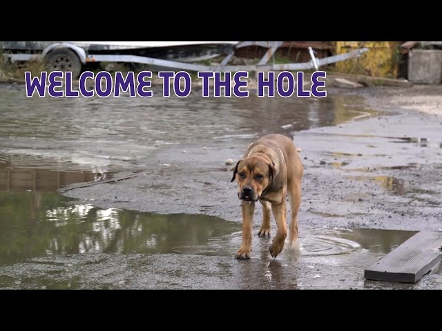 Welcome To The Hole, John Gotti's Body-Dumping Ground