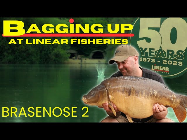 BIG HIT FISHING AT LINEAR FISHERIES