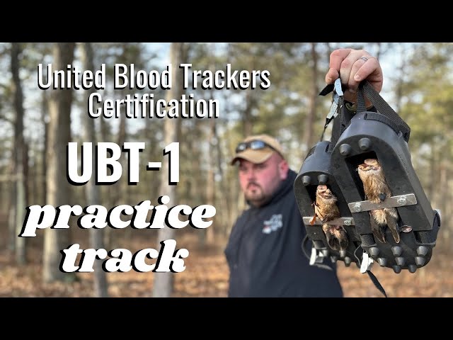 United Blood Tracker UBT-1 | Certification Practice | Blood Tracking Dog Training