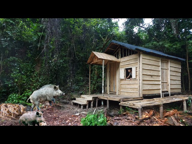 3 Year alone in the Forest Building Log Cabin, Stove, Bed,Hydroelectric, Can live here for 100 years