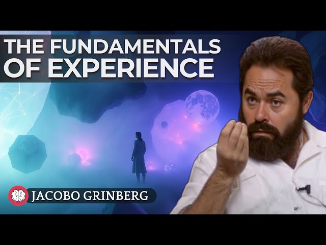 THE FUNDAMENTALS OF EXPERIENCE - Audiobook by Dr. JACOBO GRINBERG