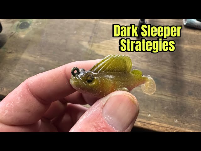 Advanced Fall Strategies Using The Dark Sleeper…