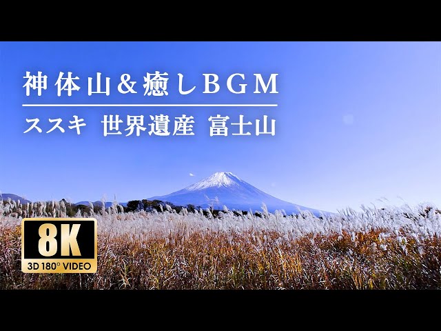 【神体山&癒しBGM】黄金色のススキ & 富士山と幻想ヒーリングミュージック