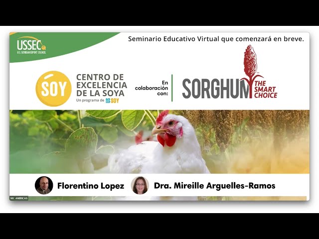 Seminario web sobre la soja y el sorgo de EE. UU. como socios clave en la nutrición avícola