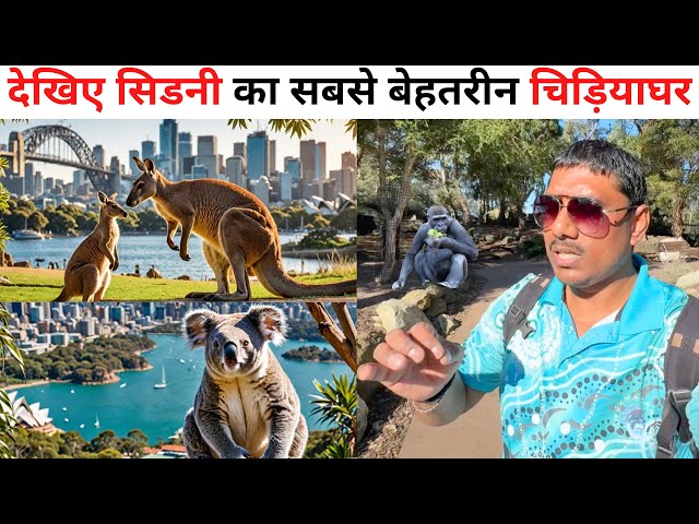 Exploring Australia Most Scenic Zoo In Sydney | Taronga Zoo Sydney