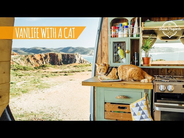 Van Life With a Cat! Portugal Roadtrip Ep. 2