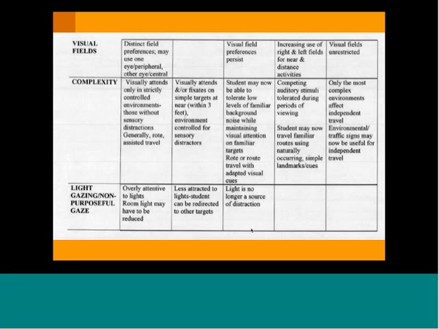 Cortical Visual Impairment (CVI) and Orientation & Mobility Dr. Roman Pt. 3