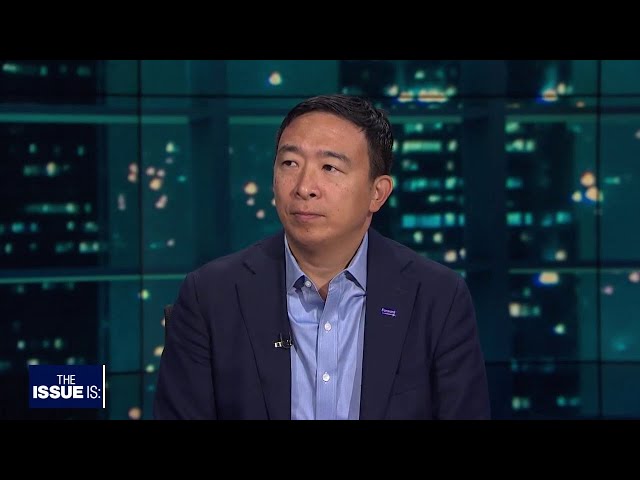 The Issue Is: Andrew Yang, Ana Kasparian and Steve Hilton