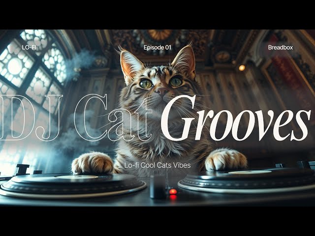 DJ Cat Grooves | Lo-fi Cool Cats Vibes 🎧😺