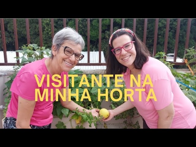 Tour na minha horta no terraço