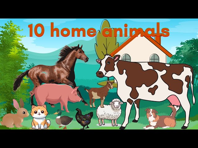 10 Domestic Animals for kids learning.#Nurseryrhymes #Cocomelon#animalsforkids #mylittlestar #viral