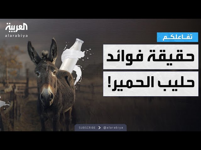 تفاعلكم | مزارع يكشف فوائد مذهلة لحليب الحمير ومختص يرد