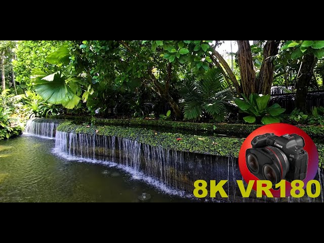 RELAXING SOUND OF RUNNING WATER Singapore Botanical Garden 8K/4K VR180 3D (Travel Videos/ASMR/Music)