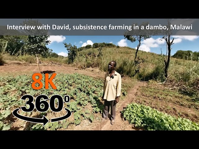 8K 360° VR Video Interview with David about farming his dimba in the dambo, Kankhulukulu, Malawi