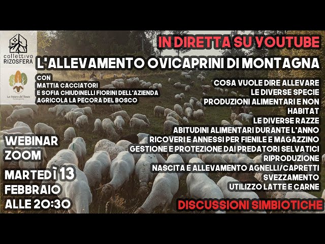 L'allevamento ovicaprini di montagna - Mattia Cacciatori e Sofia Chiudinelli - DS