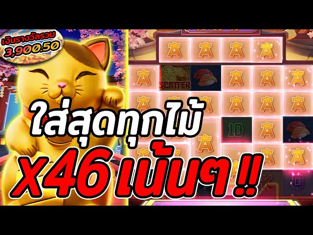 Lucky Neko | สล็อตpg | สล็อตแมวทอง | ใส่สุดทุกไม้ X46เน้นๆ