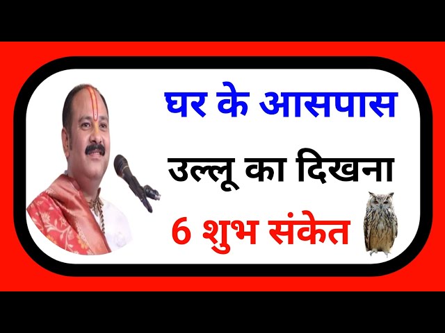 घर के आसपास उल्लू का दिखना 6 शुभ संकेत । Pradeep Mishra Ji Ke Upay । Mahadev Tv ।