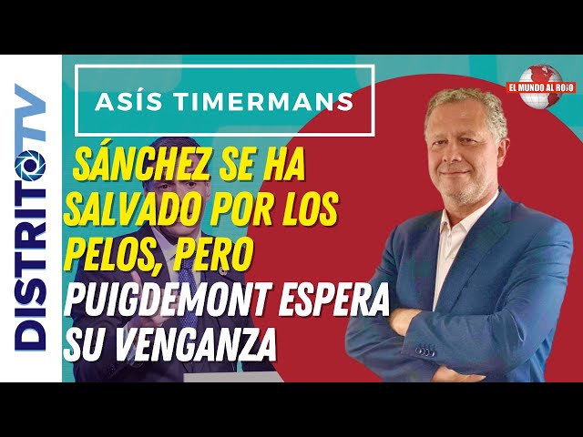 🔴ASIS TIMERMANS🔴 SÁNCHEZ SE HA SALVADO POR LOS PELOS, PERO PUIGDEMONT ESPERA SU VENGANZA