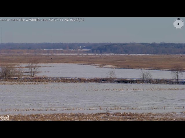 Goose Pond Fish & Wildlife Area Visitor's Center Camera