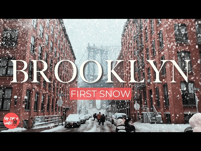 NYC Snow Walk! | Brooklyn Heights & DUMBO Snowfall Walking Tour