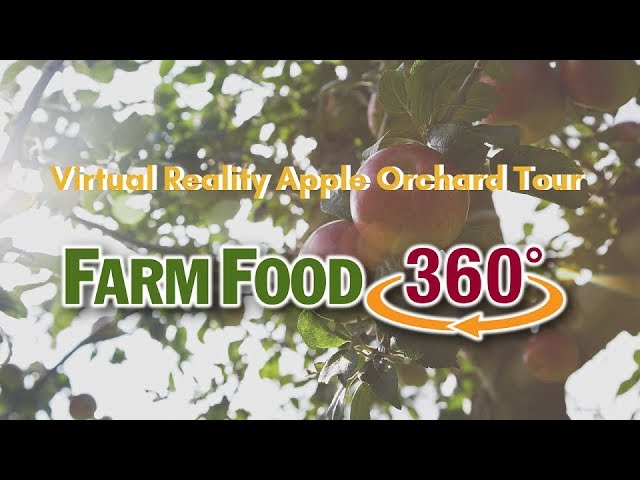 360° Canadian Apple Orchard Tour