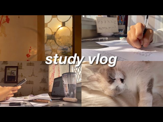 study vlog Malaysia:endless studying, anime & note taking ✏️📖