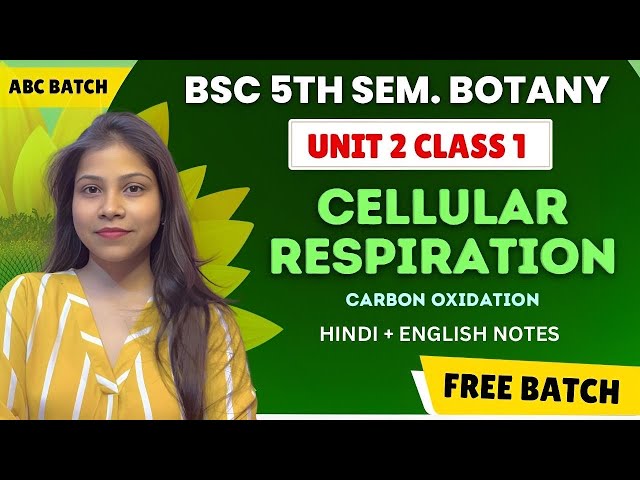 Carbon oxidation|Plant physiology BSc 3rd year 5th semester unit 2 in Hindi & English 💯🔥