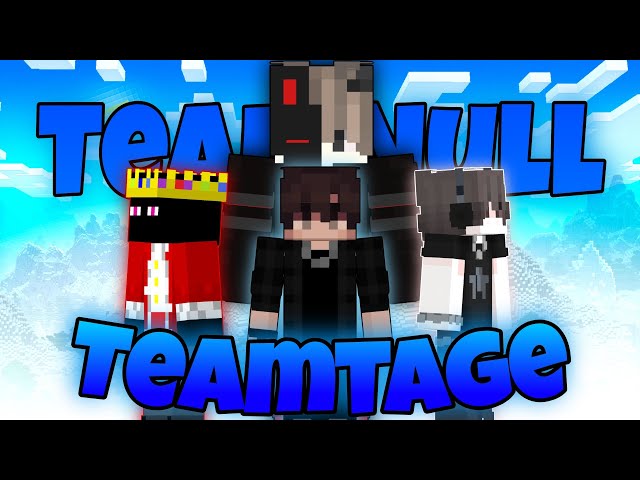 Nethpot Kings of TeamNull | Teamtage #2