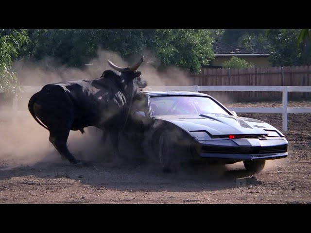 KITT VS Bull | Knight Rider CLIP