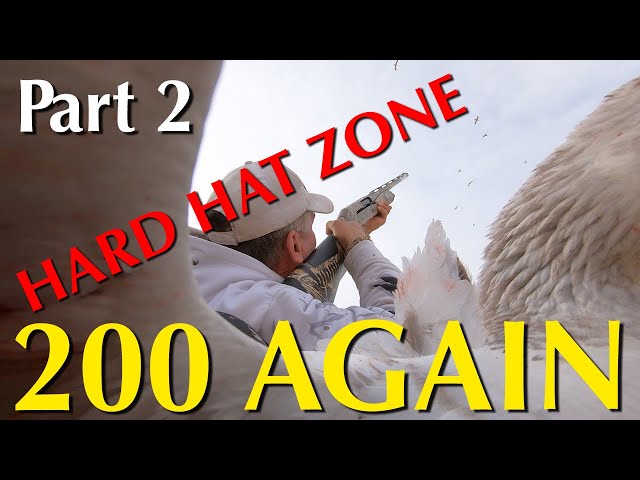 PART 2 - 200 Bird Snow Goose Hunt - Hard Hat Zone@CabelasHunting @hevishotammo @BenelliArmiSpA