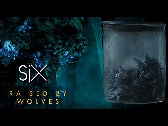 Raised By Wolves | Six Theory