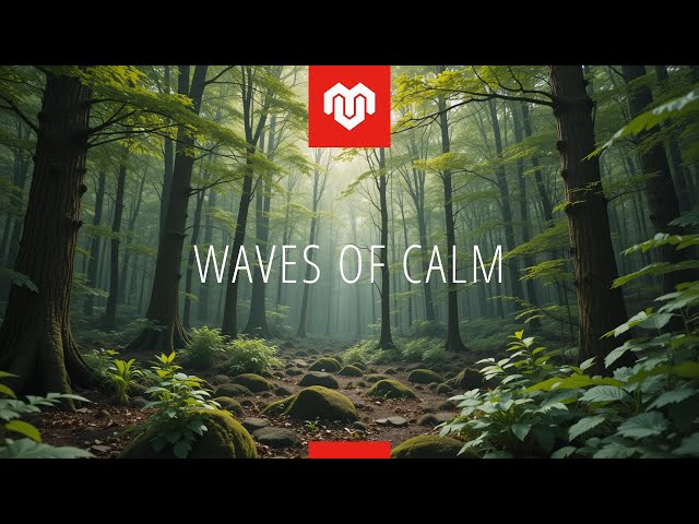 Waves of Calm | Relaxing Music for Healing, Work, and Inner Peace | Calming Sounds for Deep Rest 🌟