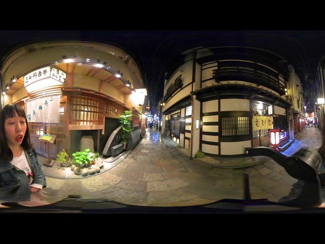 VR trip to Osaka, Japan - Maho takes you to Hozenji Yokocho at night