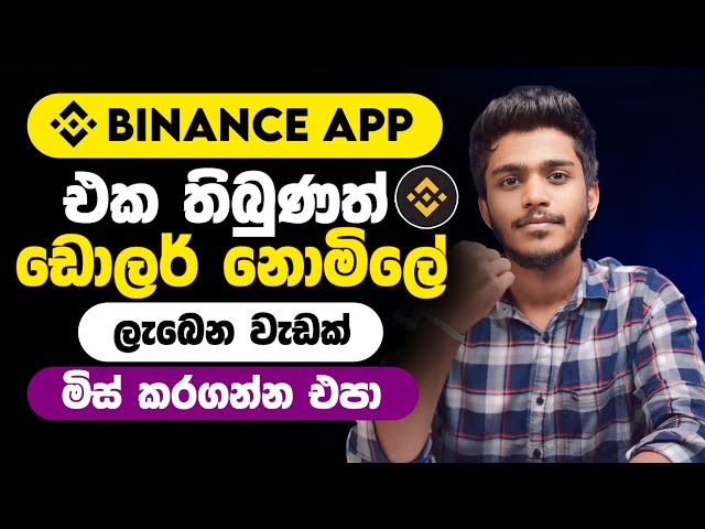 online job sinhala - online job at home sinhala - E money sinhala - BIO binance sinhala