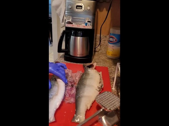 DEBONING A MILKFISH #ASMR #SOUNDS #SATISFYING