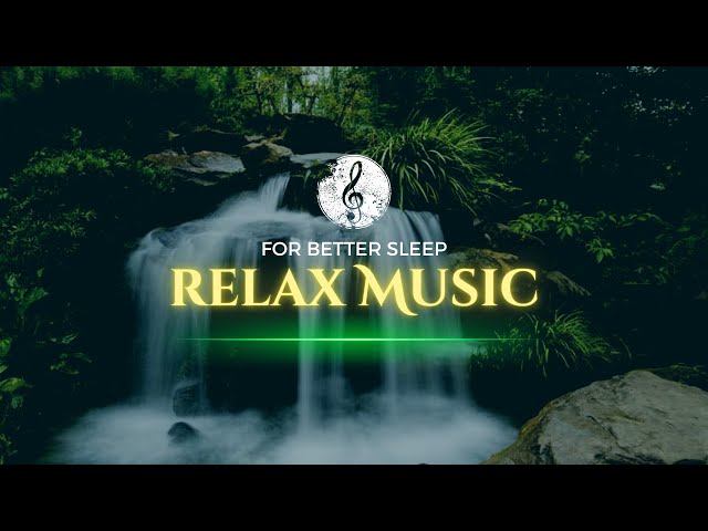 🌿 Relaxing Nature Sounds | 1 Hour of Soothing Ambience for Sleep, Study & Relaxation 🌊✨