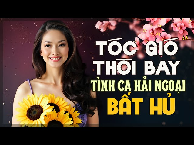 Dòng Nhạc Tình Ca Xưa - Tình Ca Phòng Trà Sâu Lắng Cho Đêm Khuya