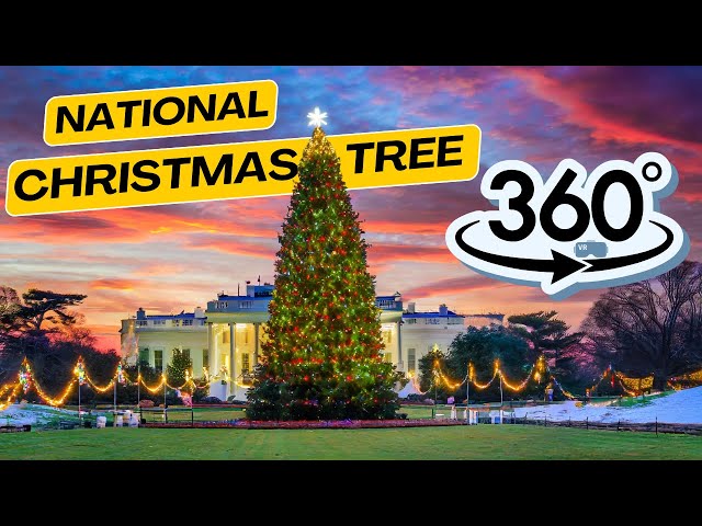 360° Video -  National Christmas Tree Washington DC