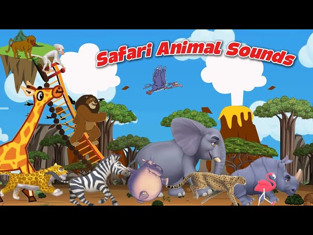 Safari Animal Sounds Song 250106 | Nursery Rhymes | Little Bunny Learns