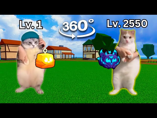 Blox Fruits But It's Cats. (FULL MOVIE) 360° VR