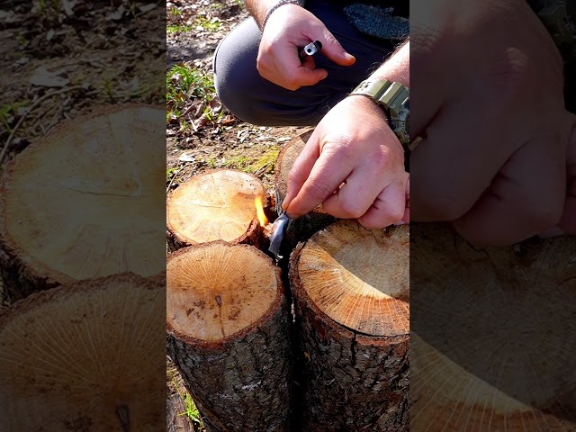 Survival Skills:Do you know how to use wood? 🤩#buscraft #survival #camping