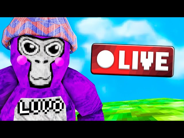 🔴ONLY UP LIVE🔴 (WITH VIEWERS) COME JOIN! #gorillatag